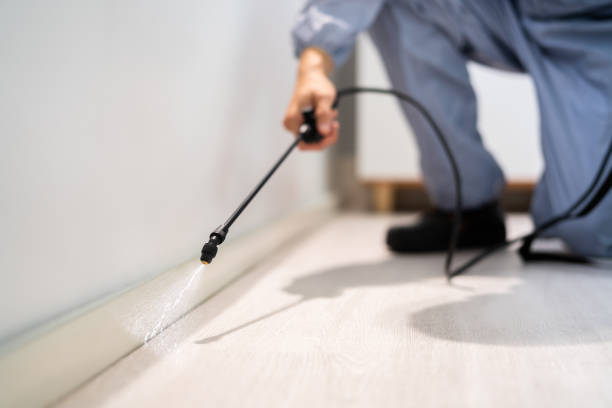 Licensed Mosquito Control service in Great Falls, VA - Show Me Pest Control