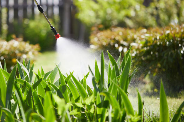 24/7 Emergency Mosquito Control experts in Great Falls, VA