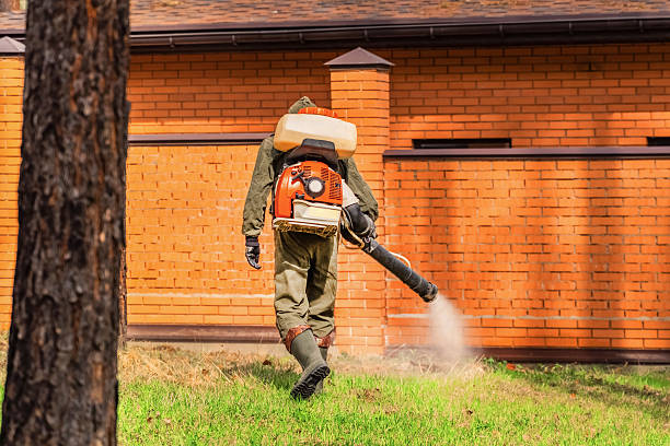 Top rated local Mosquito Control specialists in Great Falls, VA
